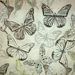 Social Butterfly in Shell Fabric